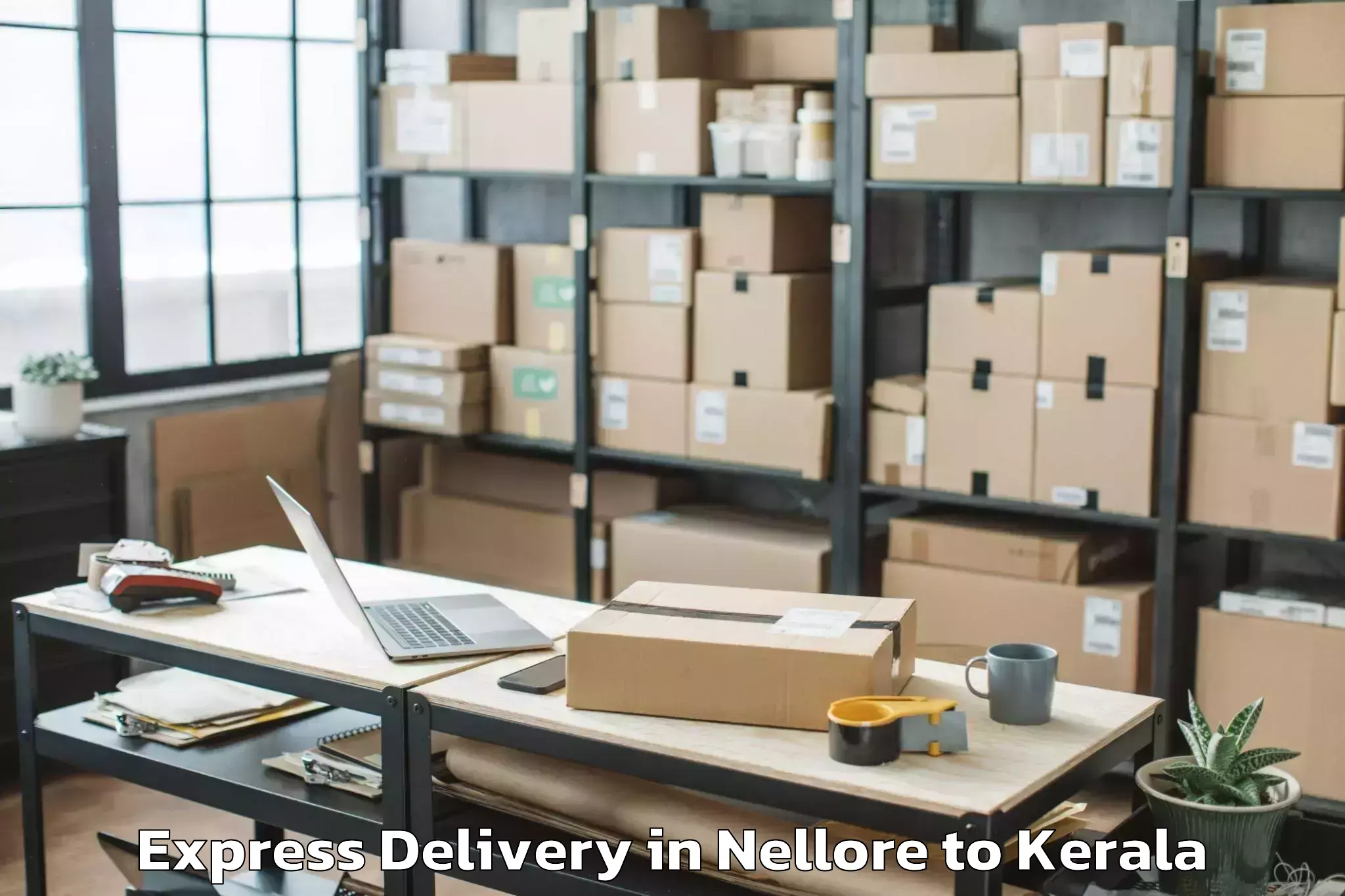 Top Nellore to Kollam Express Delivery Available